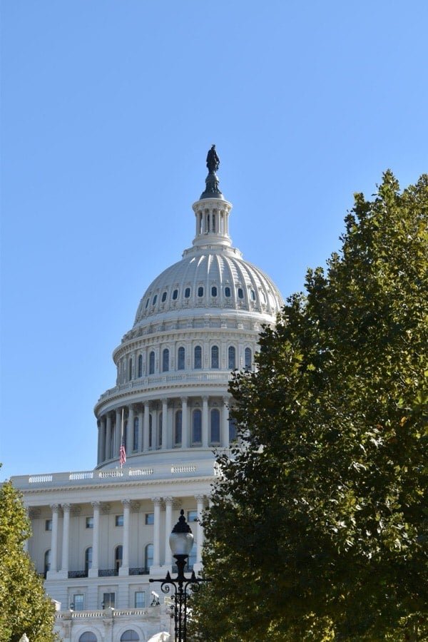 United States Capitol Building in Washington DC - online reputation management services across the United States